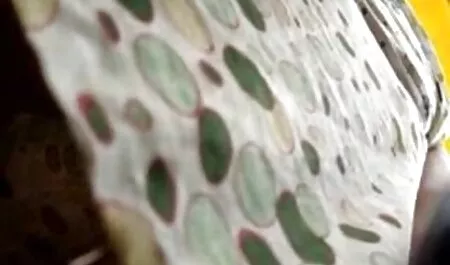 گربه مشت مادر بزرگ و بالغ سکس پسر باحیوان