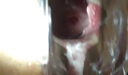 بستی جوجه را به گربه تانکر سایت سکس زن با حیوانات می دهد