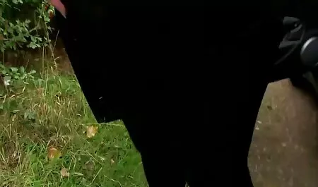 ورزش ها فیلم سکس با زن همسایه از دیک های بزرگ لذت می برند