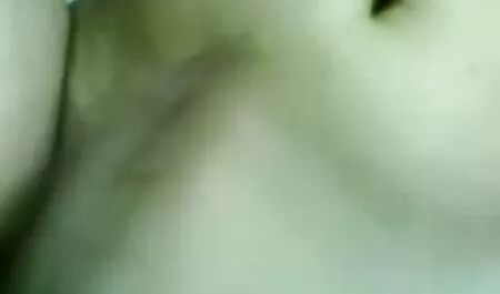 موسوری مشتری گربه را با گربه sexزن بازن نرم گرفت